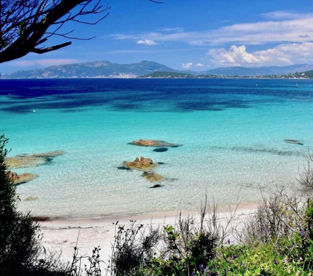 Nouveaute! Magnifique Villa A 2 Minutes Des Plus Belles Plages De La Rive Sud Porticcio  Eksteriør billede
